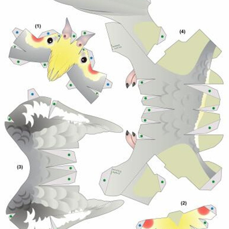 Cockatoo DIY Paper Craft Kit – 15cm 3D Cartoon Animal for Kids - caseovo
