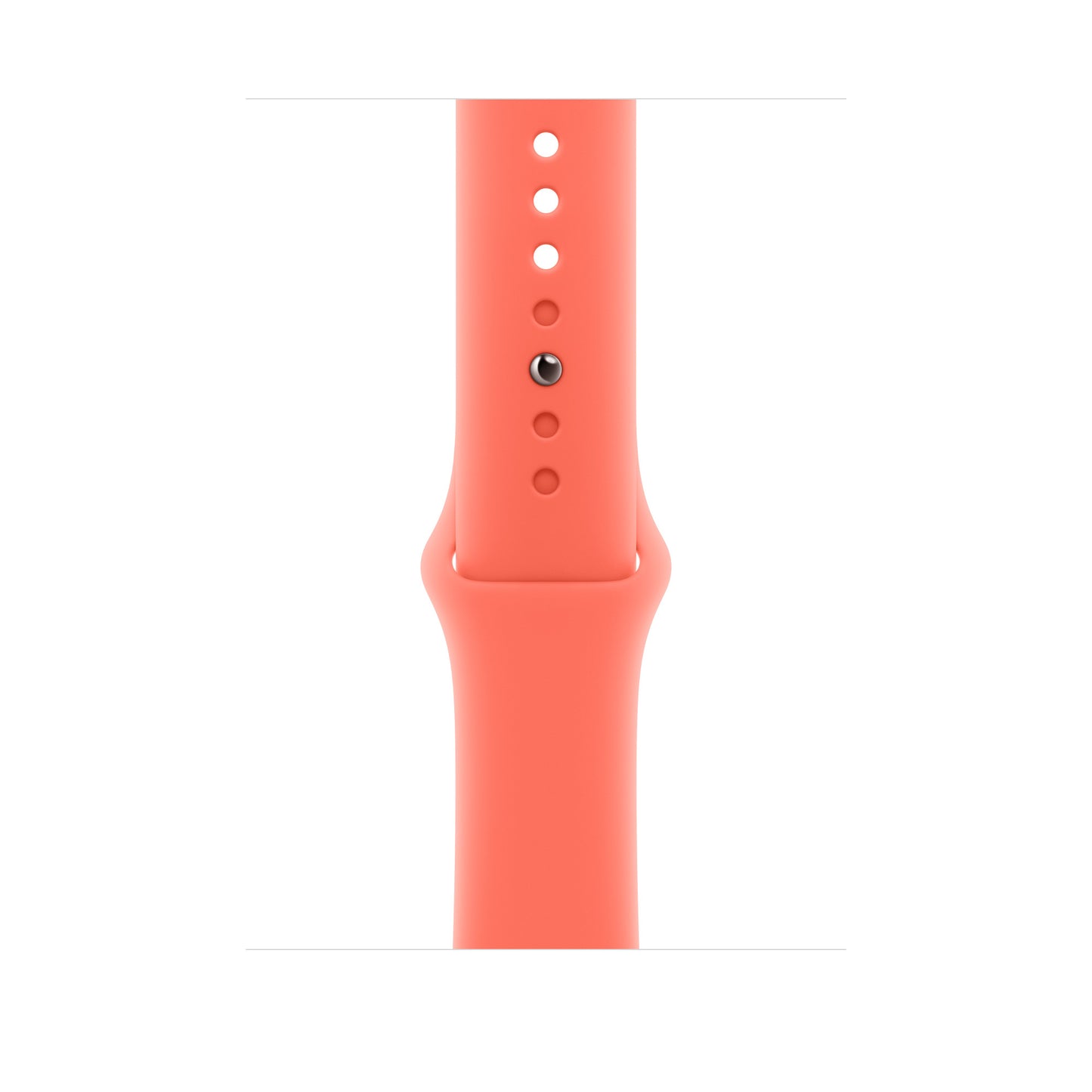 Sport Band-Watch Band